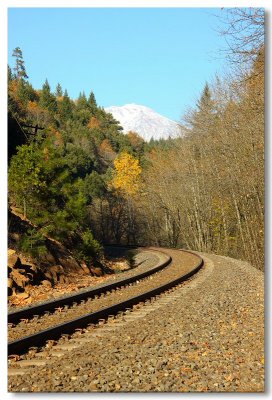 View of Mt. Shasta during the walk