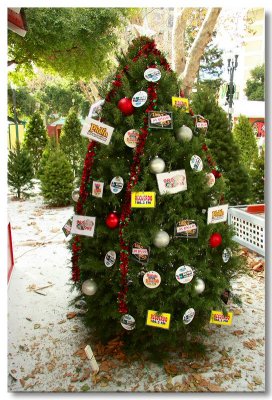 Christmas in the Park