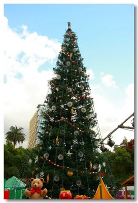 Christmas in the Park