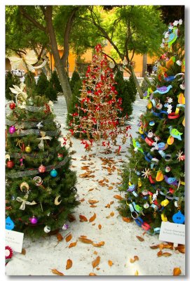Christmas in the Park