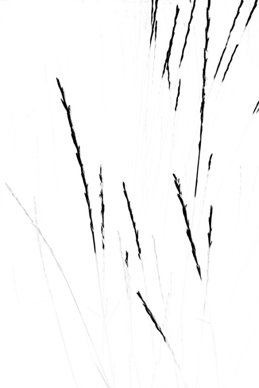 B_IMGP5179.jpg