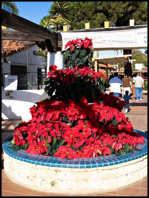 Christmas Is Coming