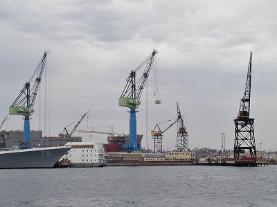 Busy Cranes
