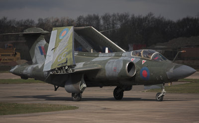 Buccaneer close-up