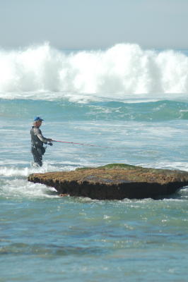 Torrey Pines Beach  fisherman