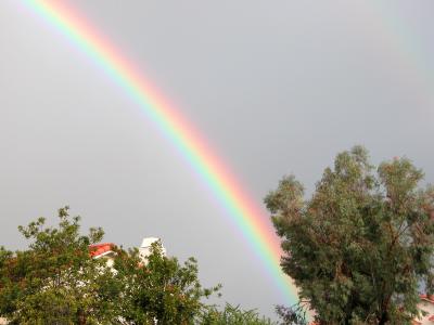 TTown rainbow