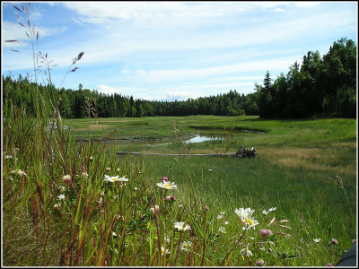 Alaska