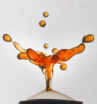 Drop13a.jpg