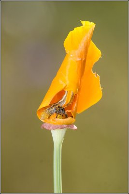IMG_9373.jpg