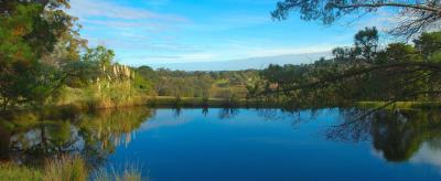 Dam Reflections