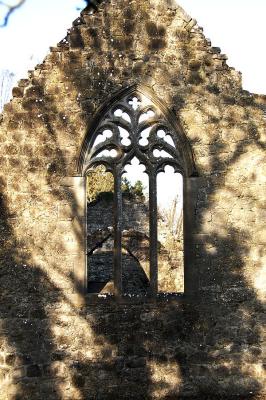 South Window Portumna Abbey