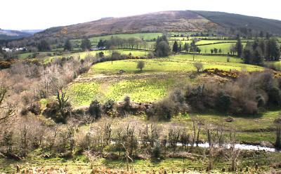 Spring in the Slieve Blooms