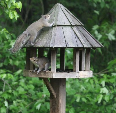 IMG_2811wnr.jpg