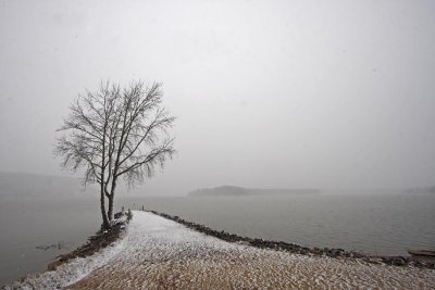 _MG_0545ss.jpg