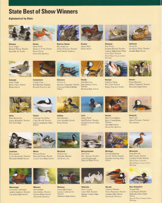 Junior Duck Stamp Contests - Wheeler National Refuge