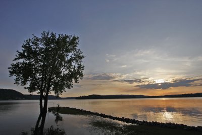 _MG_3589ss.jpg