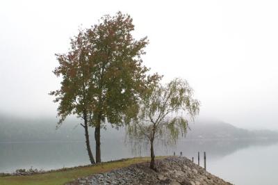 20041021fog1.jpg