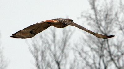 IMG_94781.jpg