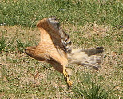 IMG_16571.jpg