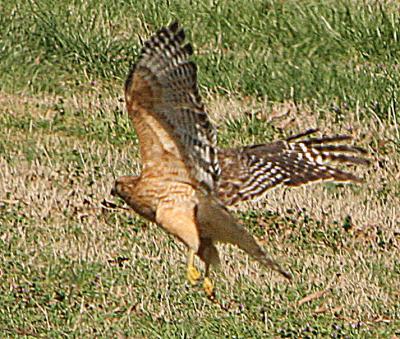 IMG_16591.jpg