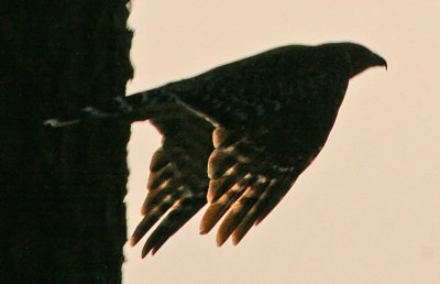 IMG_72801.jpg