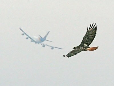 IMG_0219RTH.jpg