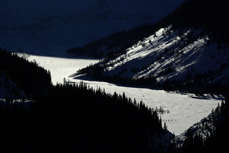 From the Icefields Parkway