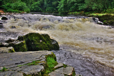 Dart River - falls