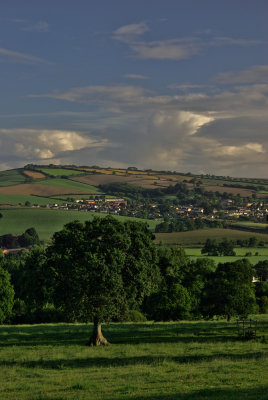 Bradninch Village View - Devon