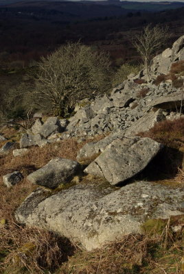 Old Quarry near Haytor on Dartmoor
