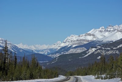 From the Icefields Parkway