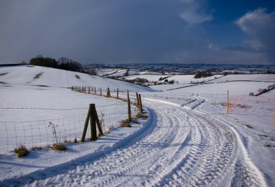 Cadbury hills - Devon