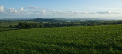 View from Bradninch to Killerton Clump