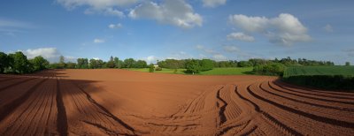 Devon fieldscape