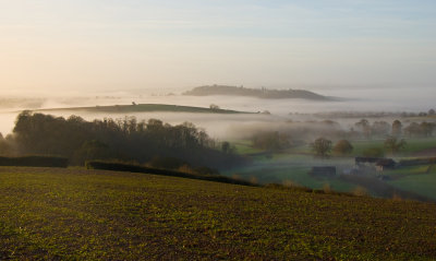 Bradninch locality misty morning - Devon