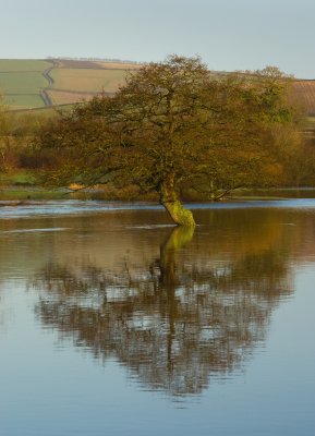 Floods in the Culm Valley