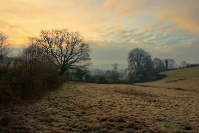 Frosty fields in first light near Bradninch - Devon