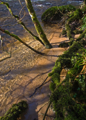 River Bovey - Dartmoor