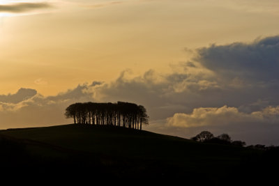 Wood capping horizon in evening light