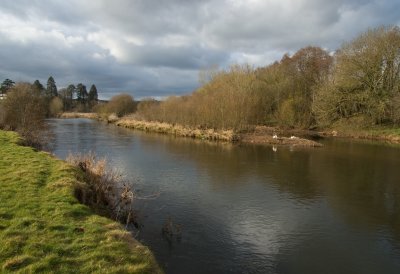 River Exe in Mid Devon