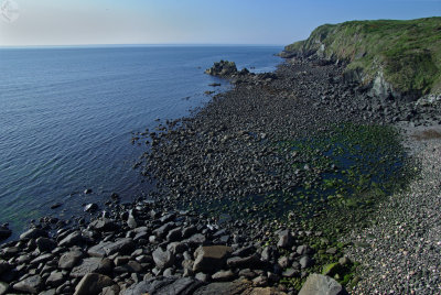 Between Cadgwith and Poltesco from Enys Head