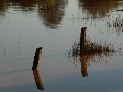 Flood Clyst St Mary