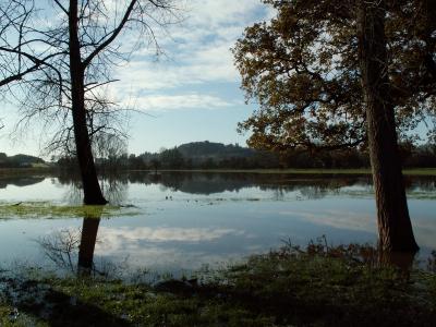 Floods reflections