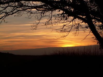 Mid Devon Sunset