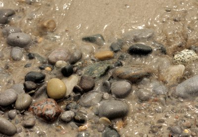 Pebbles -  Wicklow Beach S9 #9936