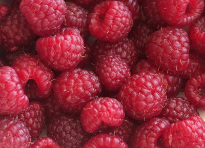 Raspberries S9 #2547