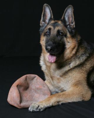 Jake