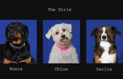 The Girls