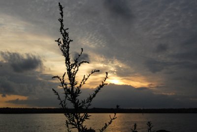 Träslövsläge 090719