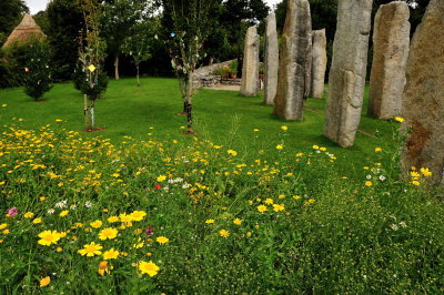 In the Summer Garden,Brigits Garden